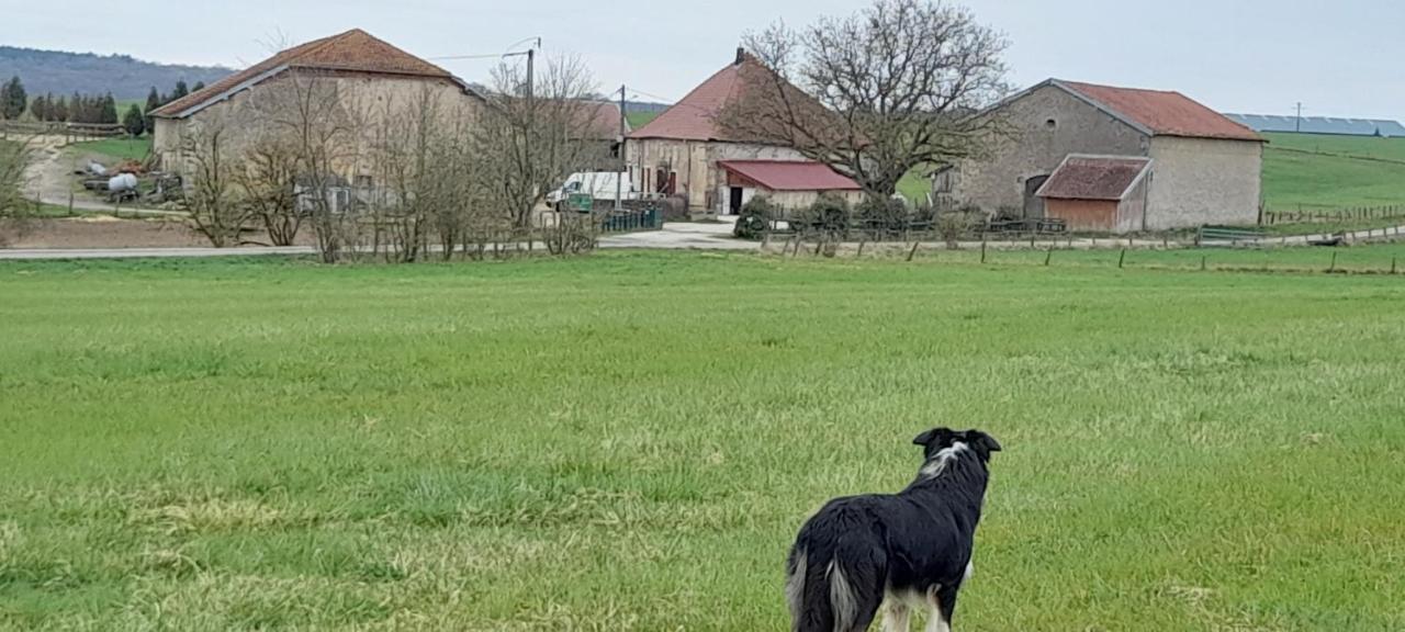 Hotel Ferme Des Champs Vrécourt Exteriér fotografie